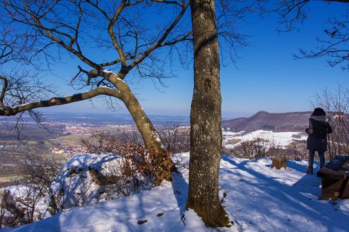 LR_FB_DSC_8087-Bearbeitet